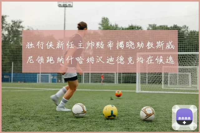 独行侠新任主帅赔率揭晓助教斯威尼领跑纳什哈姆汉迪德克均在候选之中